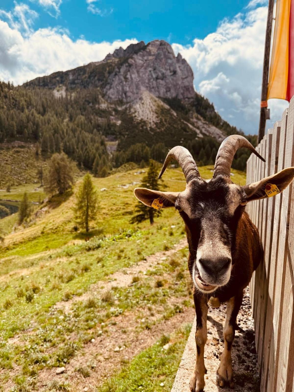 Stubihuettn Appartement Sonnenalpe Nassfeld Buitenkant foto
